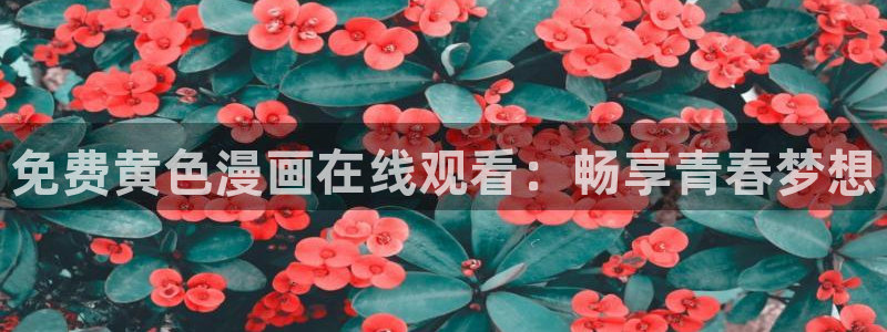 好看的汗汗漫画：免费黄色漫画在线观看：畅享青春梦想