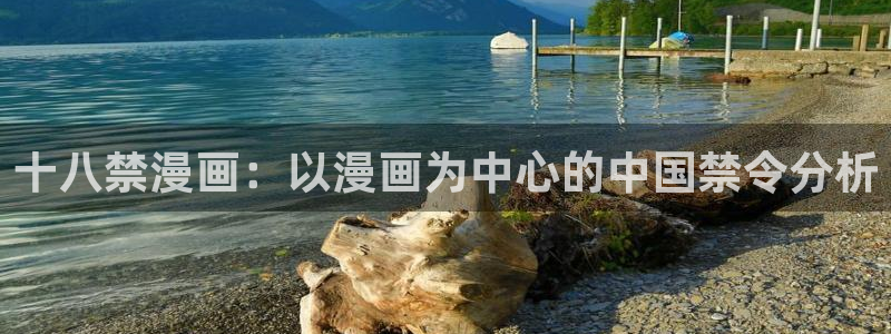 羞羞漫画∽汗汗漫画：十八禁漫画：以漫画为中心的中国禁令分析