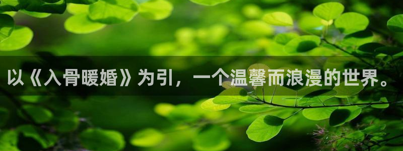 汗汗漫画入口处：以《入骨暖婚》为引，一个温馨而浪漫的世界。