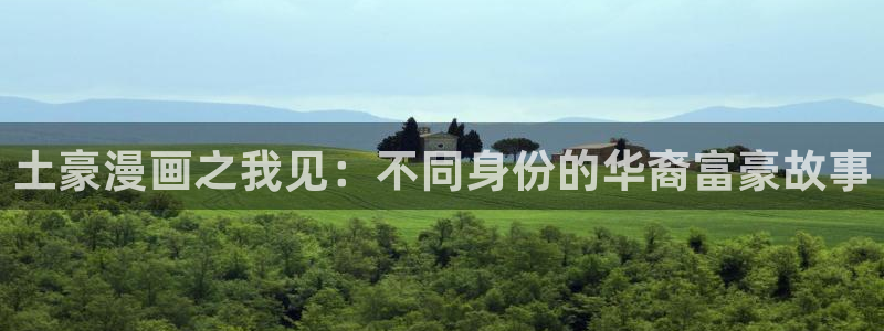 汗汗漫画~羞羞漫画sss：土豪漫画之我见：不同身份的华裔富豪故事