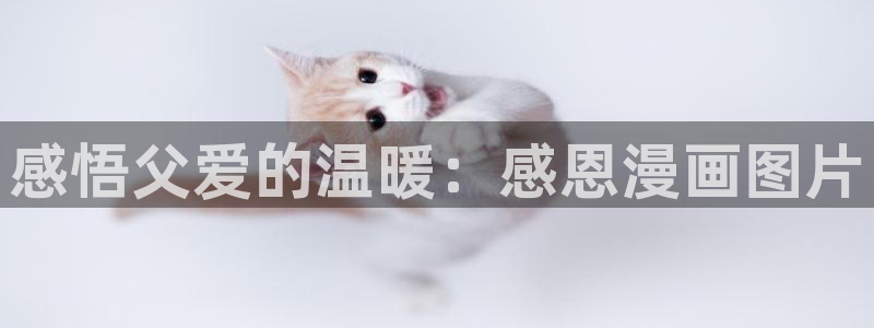 汗汗漫画ss s