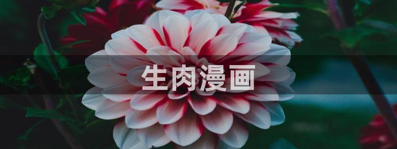 汗汗漫画免费网站